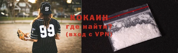 индика Зарайск