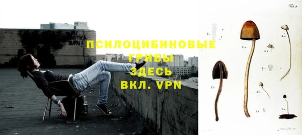 СК Осинники