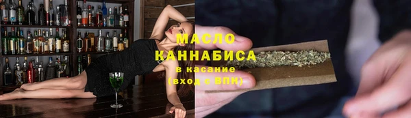 индика Зарайск