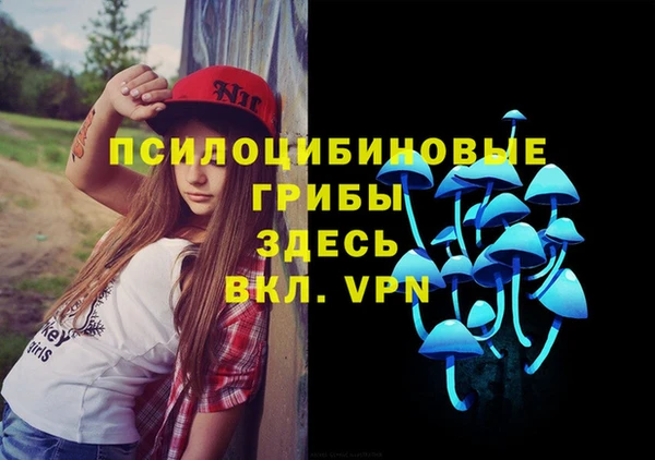 ALPHA PVP Осташков