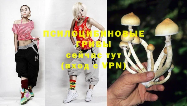 дмт Остров