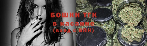 СК Осинники
