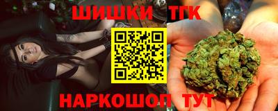 крисы Гагарин