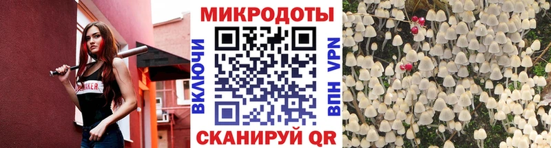 Псилоцибиновые грибы Magic Shrooms  Касимов 