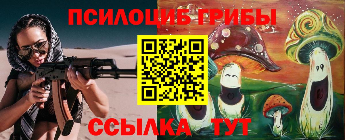 Галлюциногенные грибы прущие грибы  Вход с VPN  Касимов 